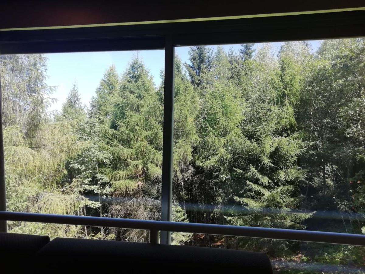 Finestra Sul Bosco - Monolocale Marilleva 1400 Apartment ภายนอก รูปภาพ